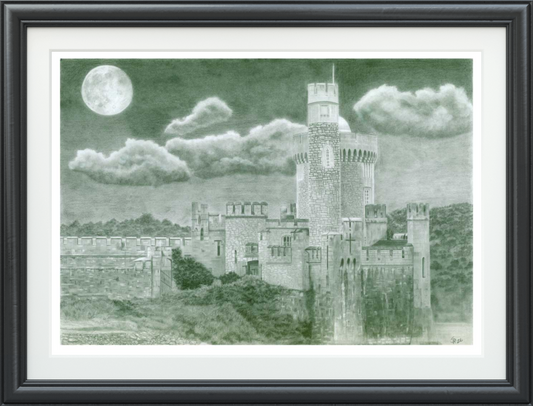 Between Tides and Stars - Blackrock Castle Observatory (Original)