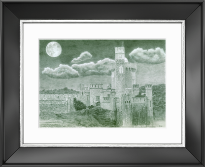 Blackrock Castle Observatory - Limited Edition (50)