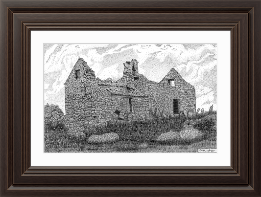 Nature's Reclamation