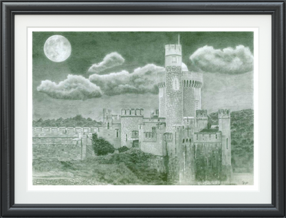 Between Tides and Stars - Blackrock Castle Observatory (Original)